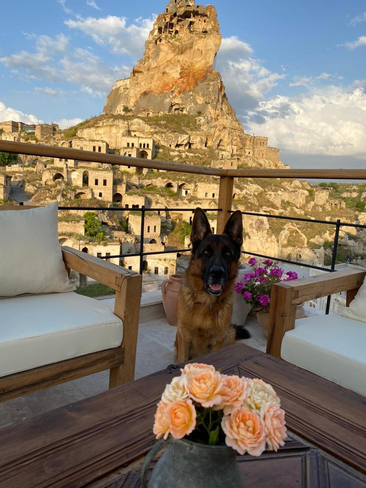Отель Vie Cappadocia - Adults Only Невшехир Экстерьер фото
